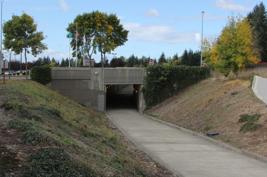 bike trail and underpass