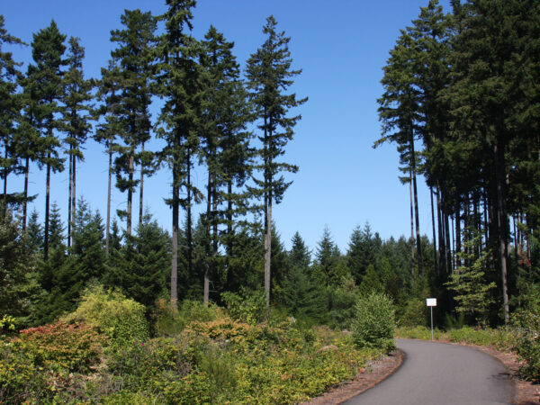 I-5 Park and Trail