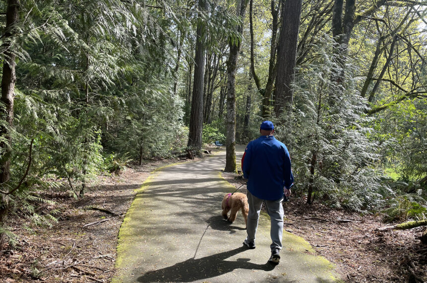 Man with dog walking on paved path