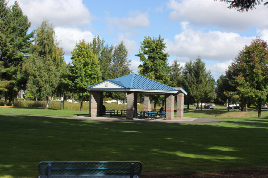 park green leading to picnic shelter