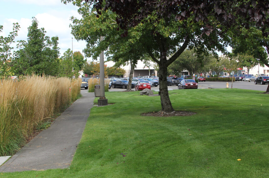 park grass and pathway to parking lot