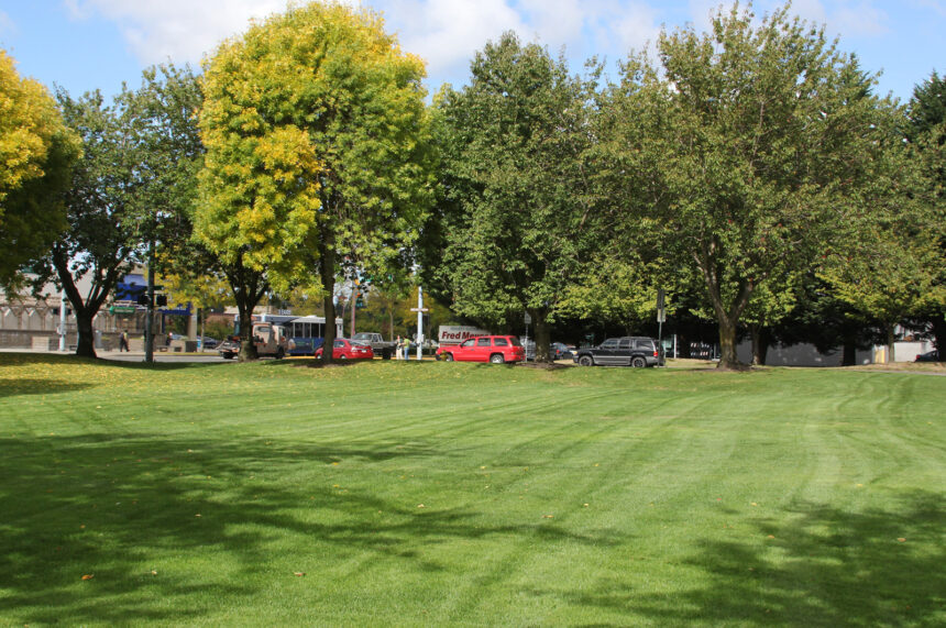 park green with trees