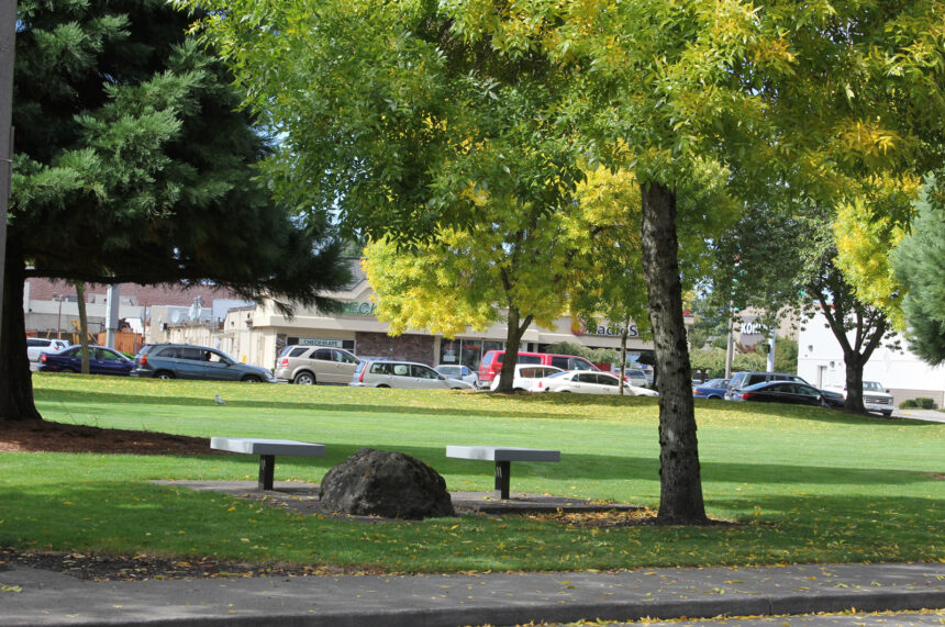 park green with trees from the street