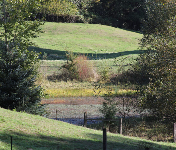 pond peaking through the hills