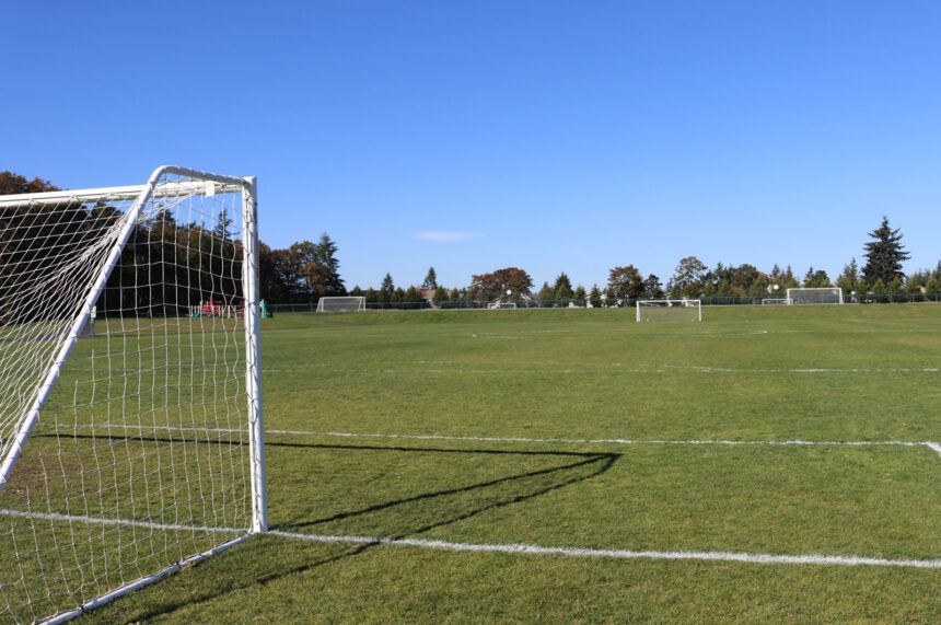 large open field with many soccer goals