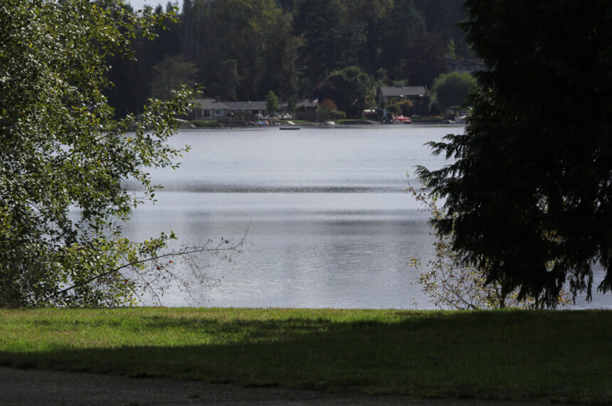 view of the lake through the trees