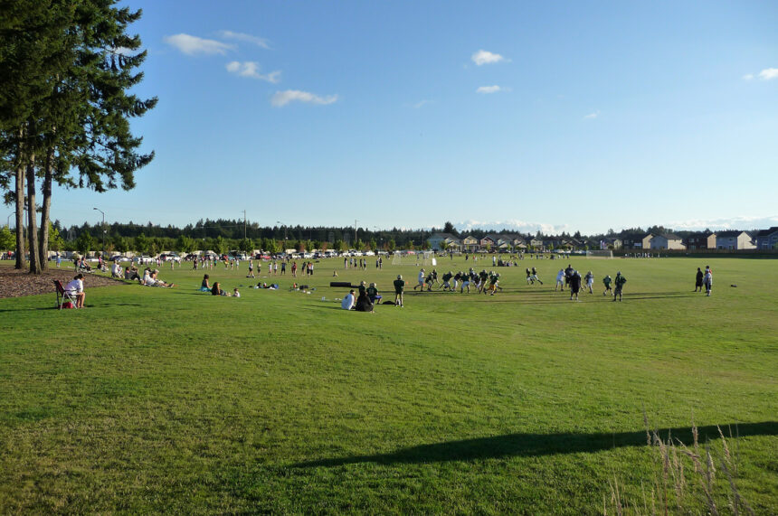 soccer game in open field