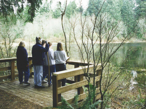 people standing on platform at lake